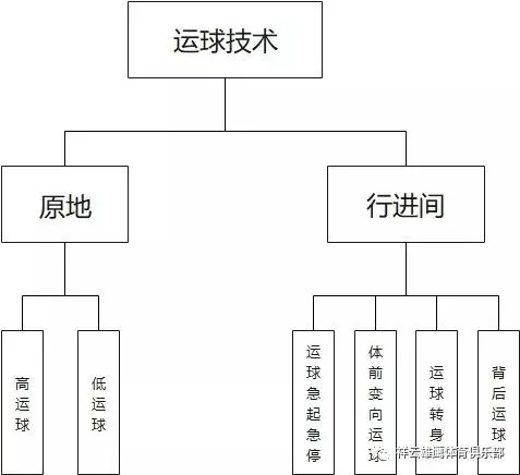 哪里有适合初学者的篮球进步课程?_0